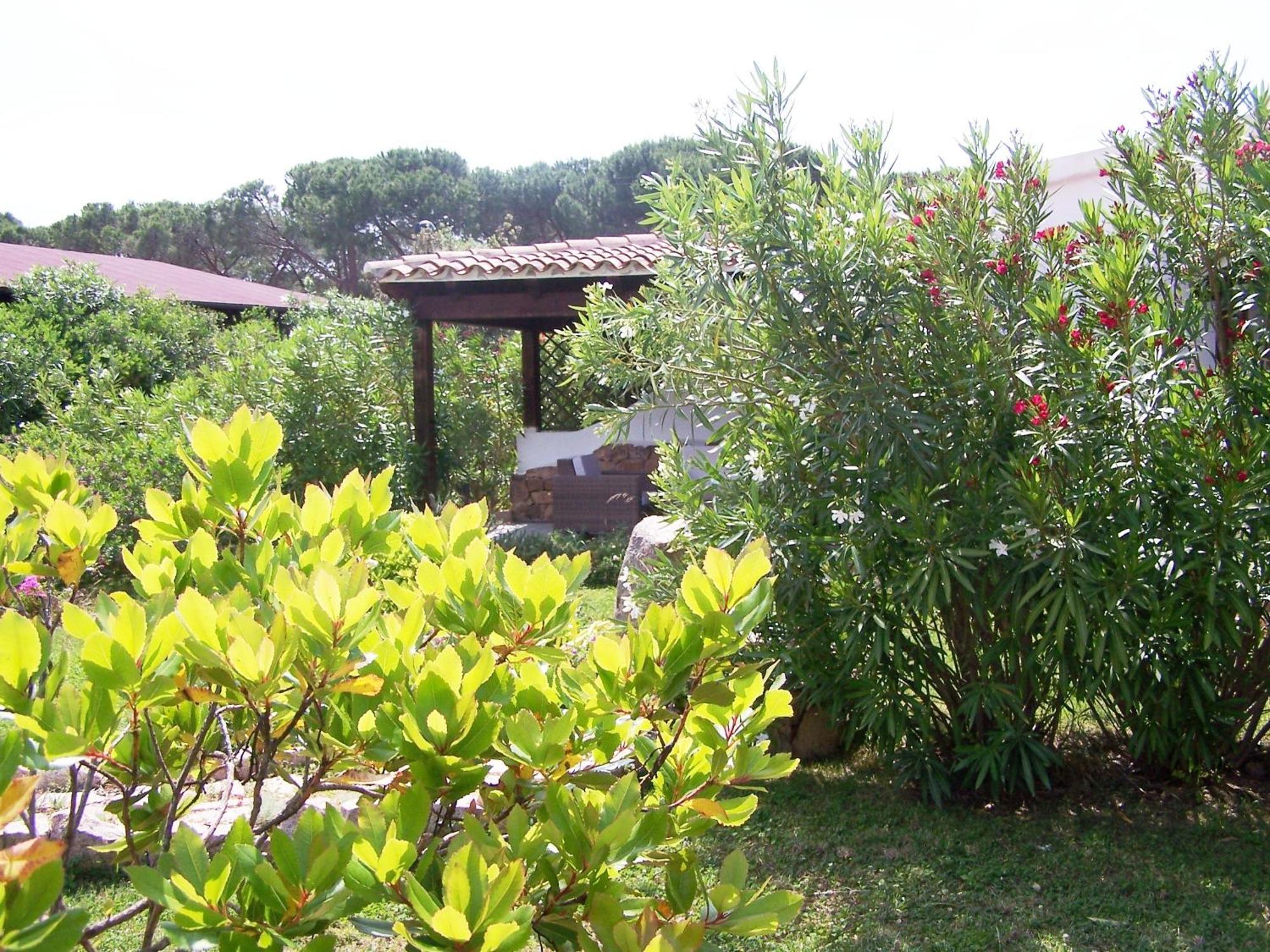 Hotel Club Ragno D'Oro Olbia Tempio Dış mekan fotoğraf