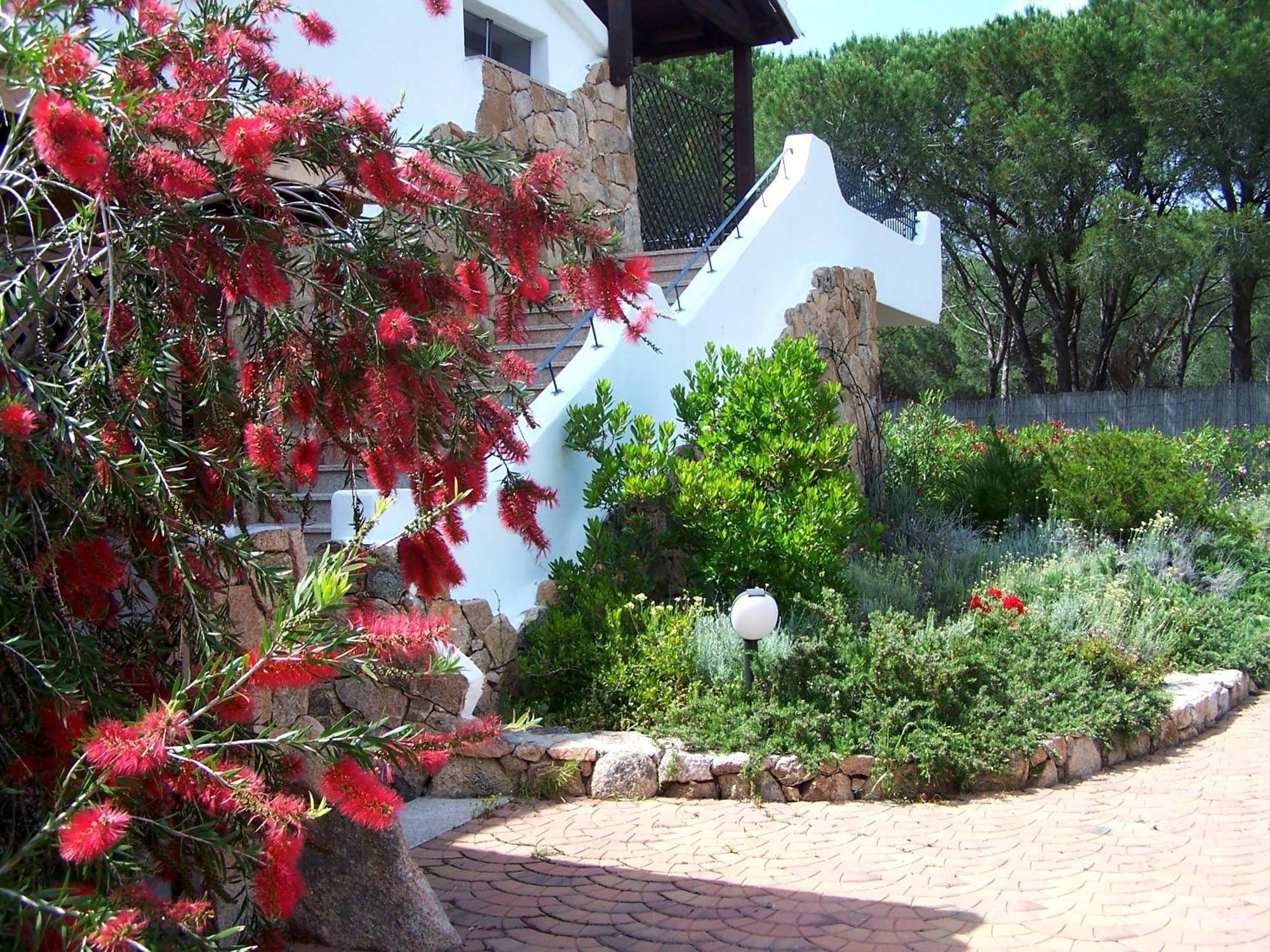 Hotel Club Ragno D'Oro Olbia Tempio Dış mekan fotoğraf