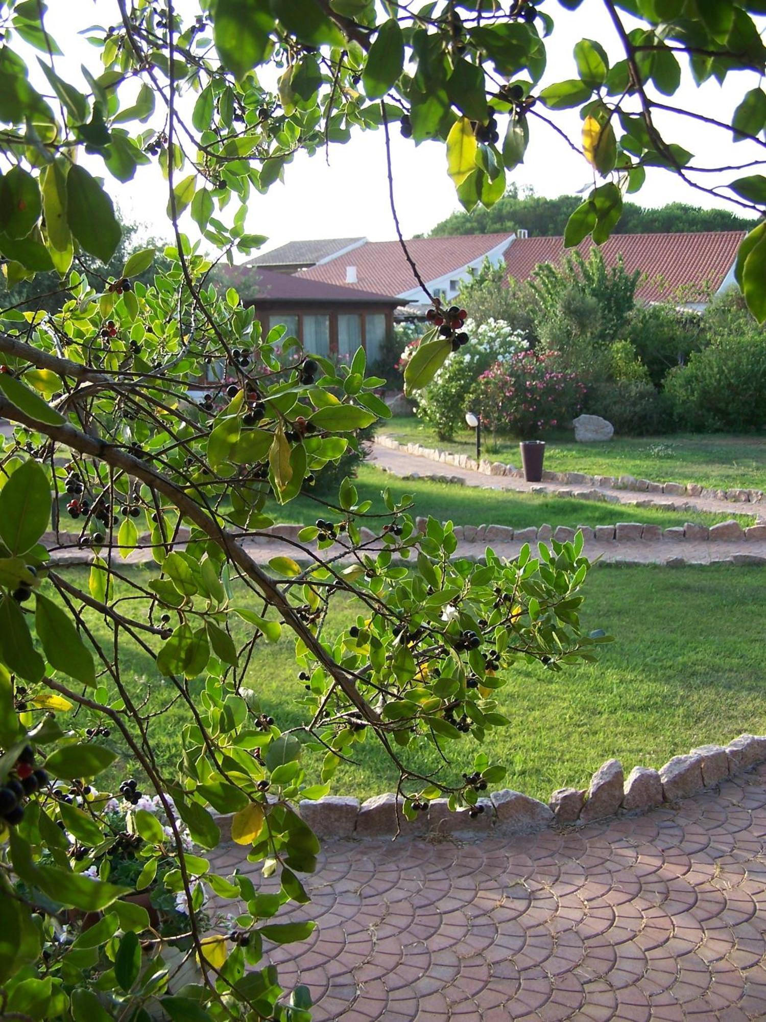 Hotel Club Ragno D'Oro Olbia Tempio Dış mekan fotoğraf