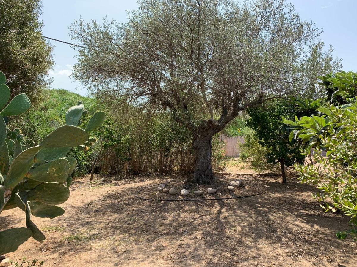 Hotel Club Ragno D'Oro Olbia Tempio Dış mekan fotoğraf
