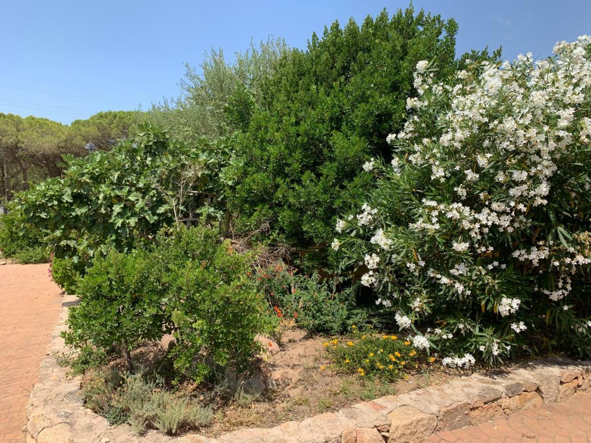 Hotel Club Ragno D'Oro Olbia Tempio Dış mekan fotoğraf